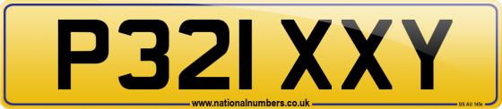 P321 XXY