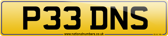 P33 DNS