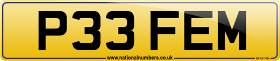 P33 FEM