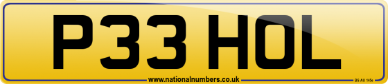 P33 HOL