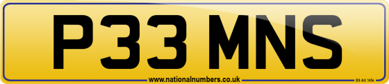 P33 MNS