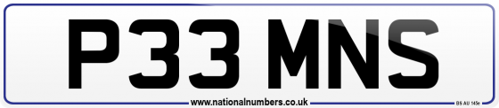 P33 MNS