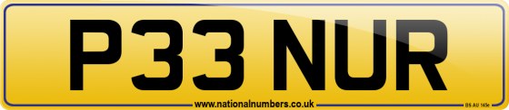 P33 NUR
