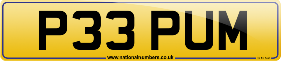 P33 PUM