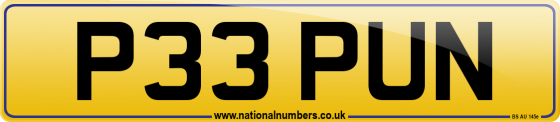 P33 PUN