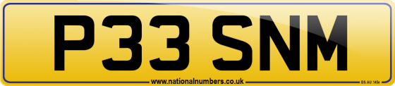 P33 SNM
