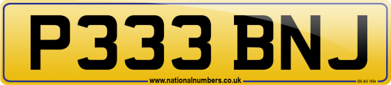 P333 BNJ