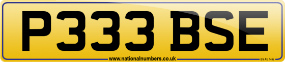 P333 BSE