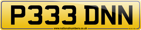 P333 DNN