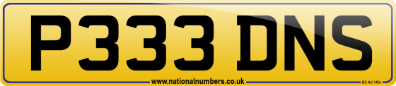 P333 DNS