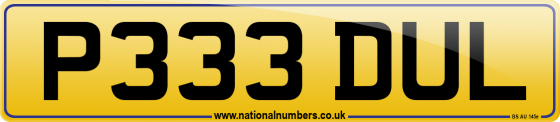 P333 DUL