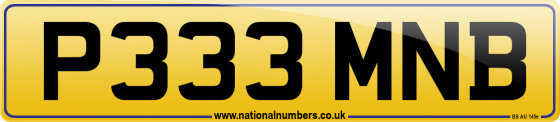 P333 MNB
