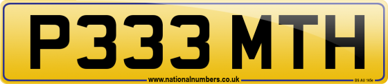 P333 MTH