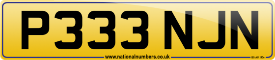 P333 NJN