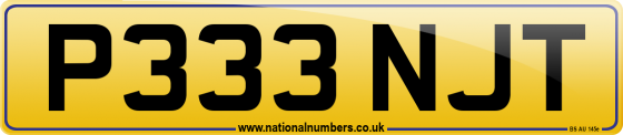 P333 NJT