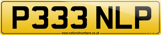 P333 NLP