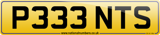 P333 NTS