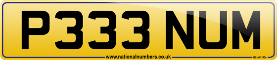 P333 NUM