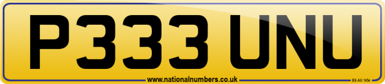 P333 UNU