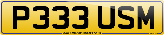 P333 USM
