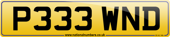P333 WND