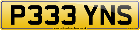 P333 YNS