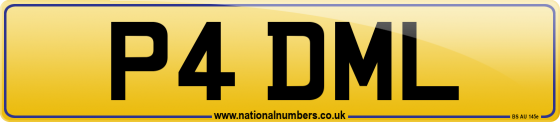 P4 DML