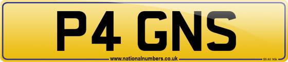 P4 GNS
