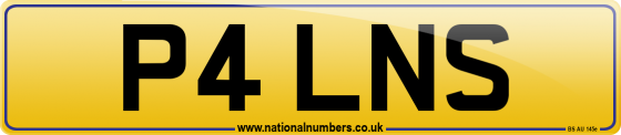 P4 LNS