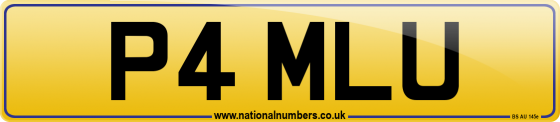 P4 MLU