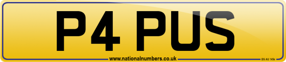 P4 PUS