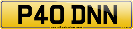 P40 DNN