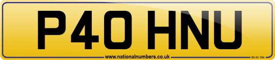 P40 HNU