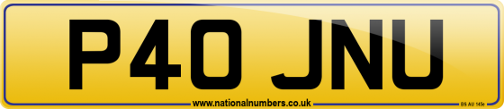 P40 JNU