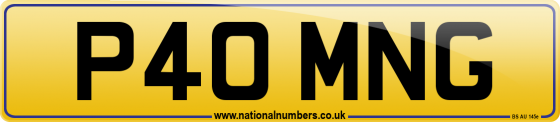 P40 MNG