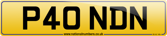 P40 NDN