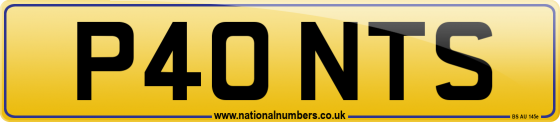 P40 NTS