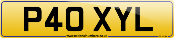 P40 XYL