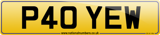 P40 YEW