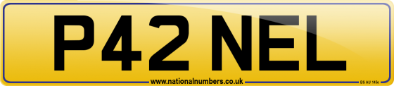 P42 NEL