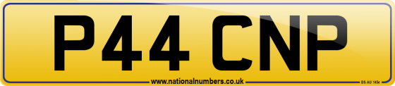 P44 CNP