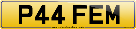 P44 FEM