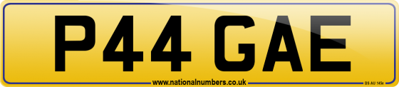 P44 GAE