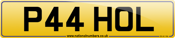 P44 HOL
