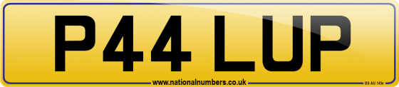 P44 LUP