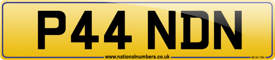 P44 NDN