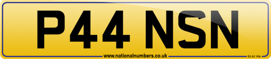 P44 NSN