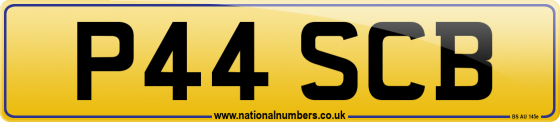 P44 SCB