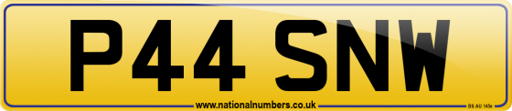 P44 SNW