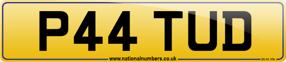 P44 TUD